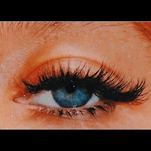 Meet your Posher, Lucy